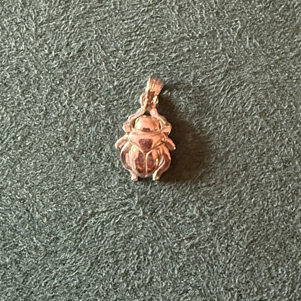 Elegant silver Scarab Pendant